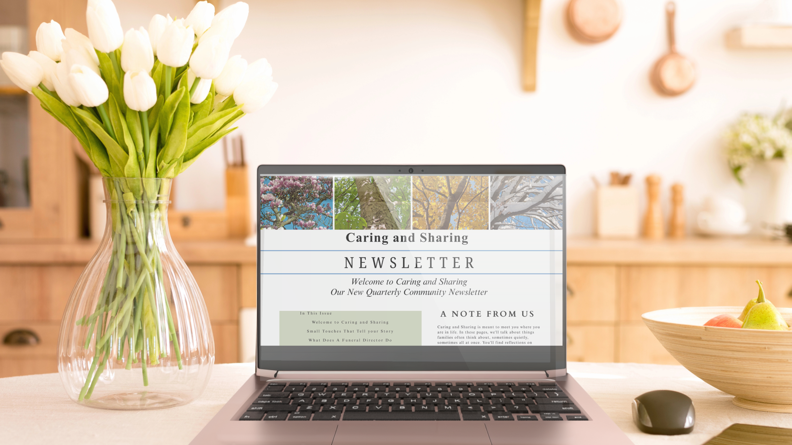 Newsletter on laptop